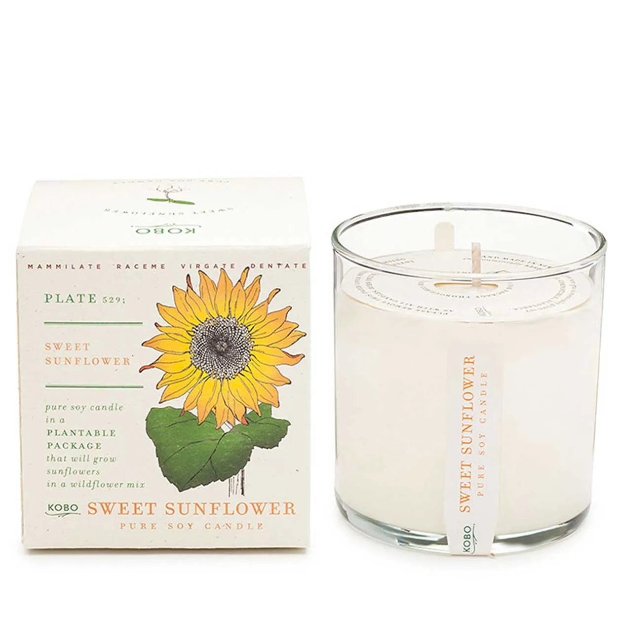 Plant the Box Candle - Sweet Sunflower