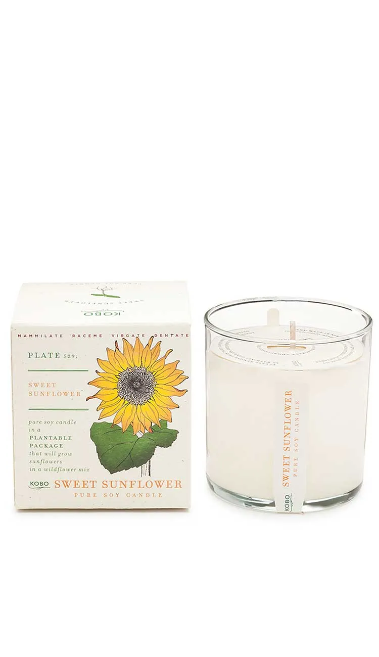 Plant the Box Candle - Sweet Sunflower